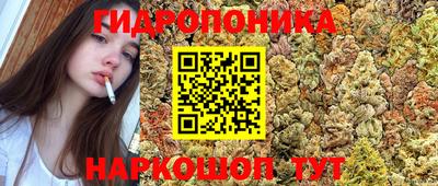ГАЛЛЮЦИНОГЕННЫЕ ГРИБЫ Партизанск