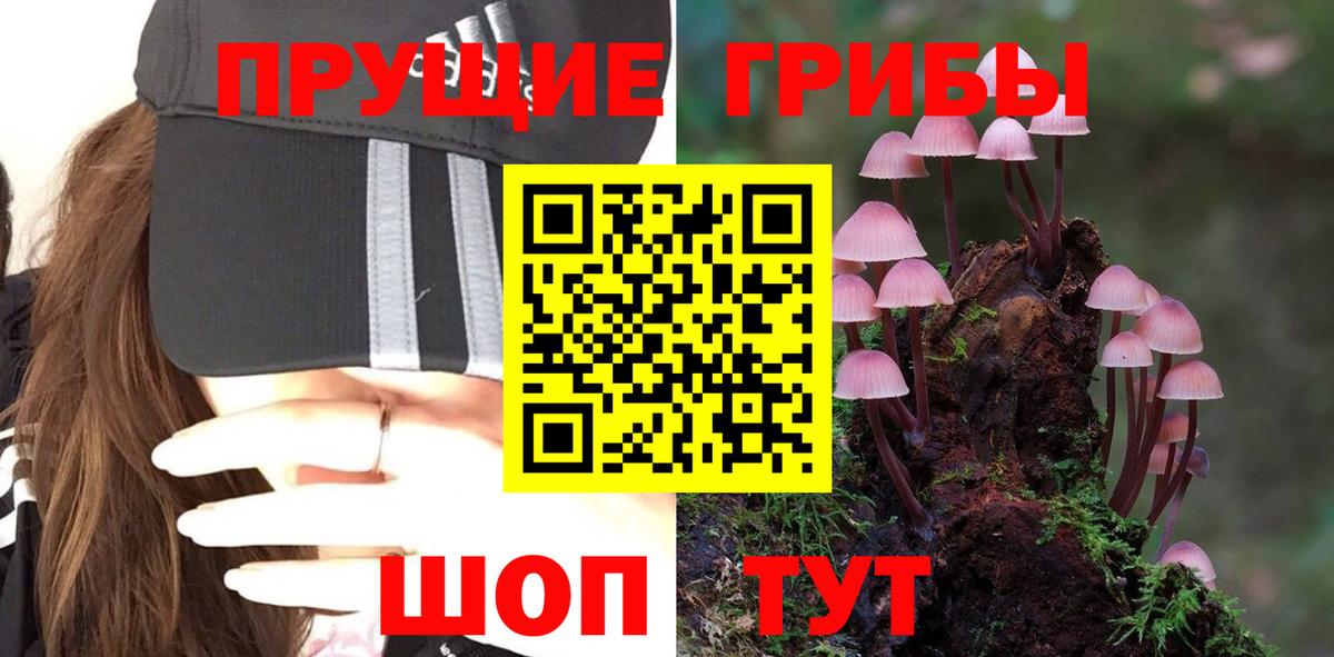 Галлюциногенные грибы Magic Shrooms  Вход с VPN  Сызрань 