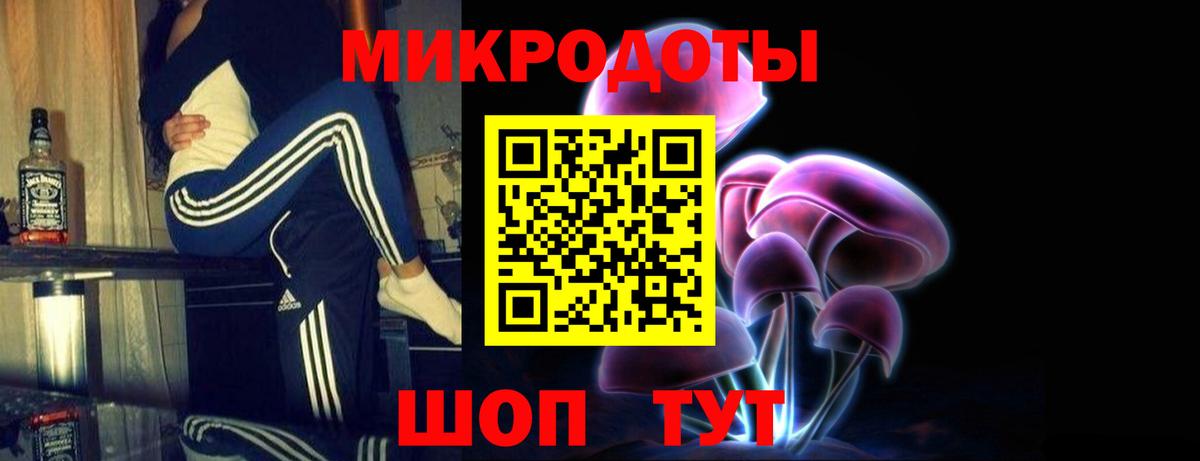 Галлюциногенные грибы Psilocybe Сызрань